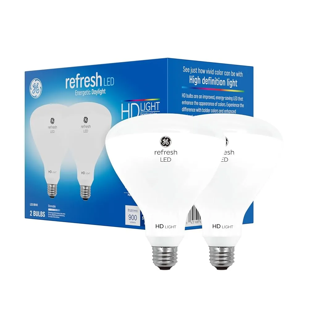 GE Basic Floodlight LED
